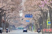 兰州共建“花园城市” 北京这场议政会“百花齐放”