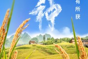 兰州芒种节气小知识来了 夏种作物都有什么？